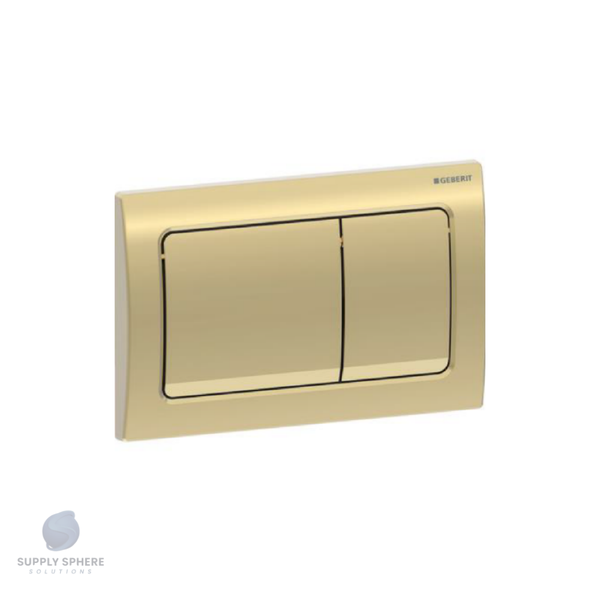 a-pl Alpha01 sq dual pl brClr