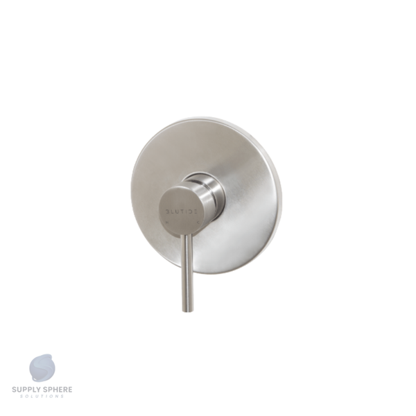 Concealed Mixer Stainless